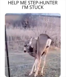 Stupid Bar Memes zsmees25