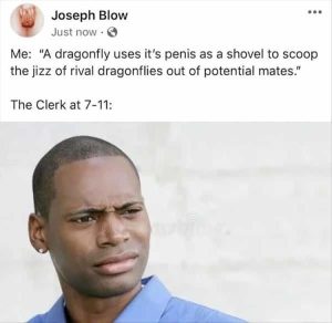 Stupid Bar Memes zsmees63