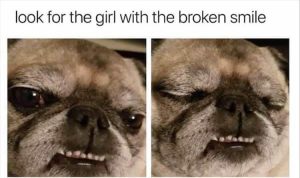Stupid Bar Memes zsmemes110