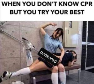 Stupid Bar Memes zsmemes24
