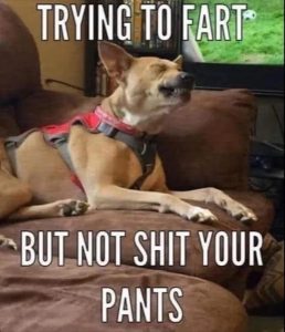 Stupid Bar Memes zsmemes70