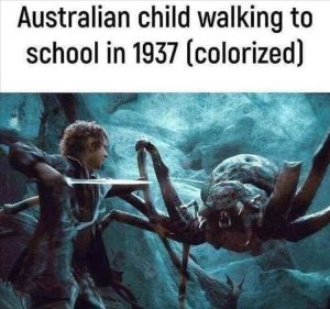 Stupid Bar Memes zsmemess212