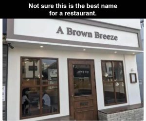 Stupid Bar Memes zsvfunsv1