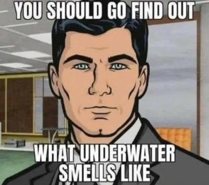 Stupid Bar Memes 05809611058f1f3f