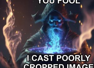 Stupid Bar Memes 111124ssermeme1s618x451