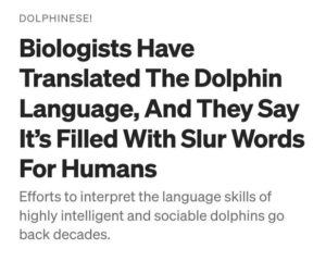 Stupid Bar Memes 111124ssermeme21s618x494