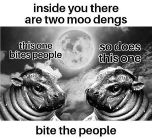 Stupid Bar Memes 111124ssermeme9s618x567