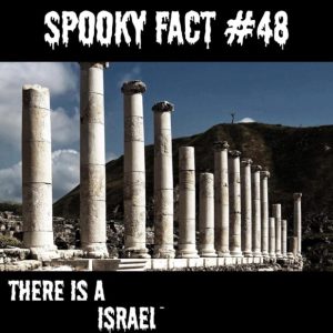 Stupid Bar Memes 141124ssermeme43s618x618