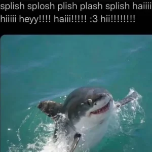 Stupid Bar Memes 141124ssmeme54s618x617