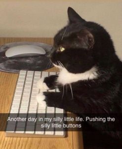 Stupid Bar Memes 141124ssmeme5s618x752
