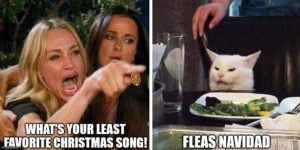 Stupid Bar Memes 1779598794fa75e5