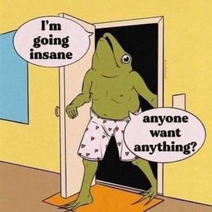 Stupid Bar Memes 181124ssers12s1536x15