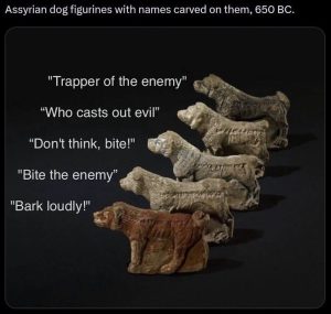 Stupid Bar Memes 181124ssers15s1536x1457