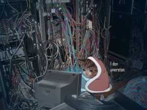 Stupid Bar Memes 181124ssers29s1536x11