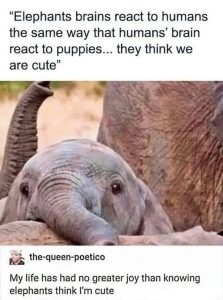 Stupid Bar Memes 181124ssers32s1523x20