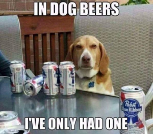 Stupid Bar Memes 19b764ea94481053