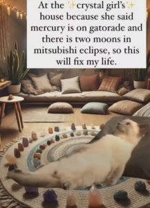 Stupid Bar Memes 211124ssers89s618x854