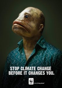 Stupid Bar Memes 211124ssers94s618x874
