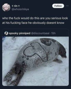 Stupid Bar Memes 281024ssers79s1s618x773