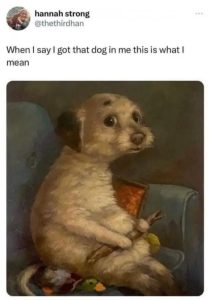 Stupid Bar Memes 2Ssynxu