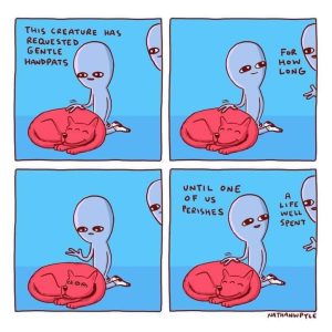 Stupid Bar Memes 46820613066212sn
