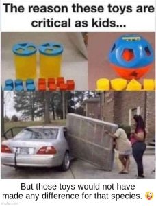 Stupid Bar Memes 475620f148b754ed