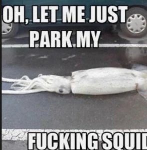 Stupid Bar Memes 4e1b85d41baf6f64