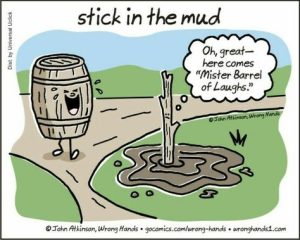 Stupid Bar Memes 5188e41e16edb9e8