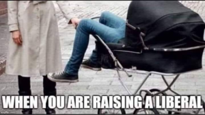 Stupid Bar Memes 55dc95ca4aff26eb