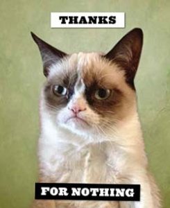 Stupid Bar Memes 59150.15