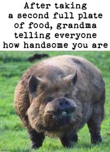 Stupid Bar Memes 5viq92
