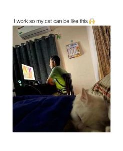 Stupid Bar Memes 6722461b317cb
