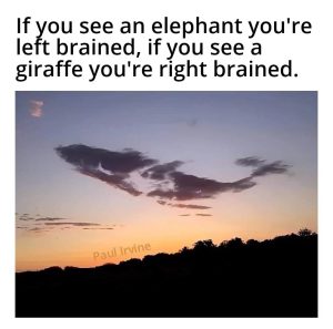 Stupid Bar Memes 672405f594f31