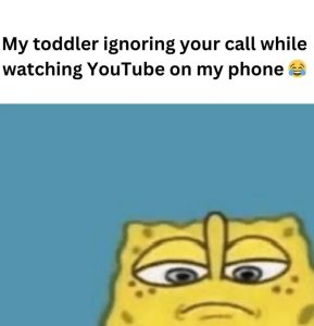 Stupid Bar Memes 672fb3067ea49