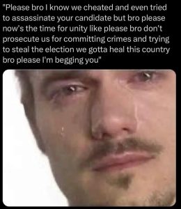 Stupid Bar Memes 673036dd6da15