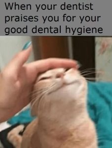 Stupid Bar Memes 6731c3f72212d