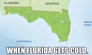 Stupid Bar Memes 674340d4e5ce6