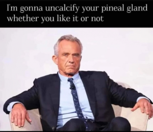 Stupid Bar Memes 6f723facad7bd95c