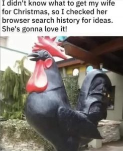 Stupid Bar Memes 708wzs7v781e1