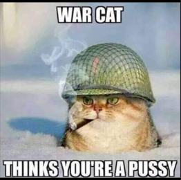 Stupid Bar Memes 7ab38092713b4ae1