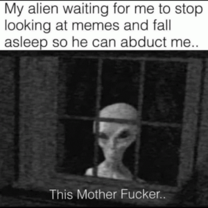 Stupid Bar Memes 8277bb8d15079ad8