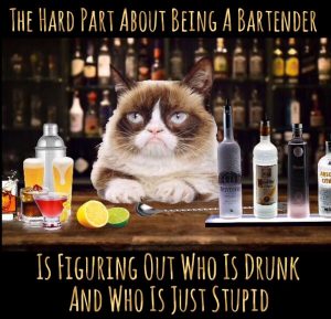 Stupid Bar Memes 89d6fd94e9f5df25a