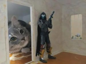 Stupid Bar Memes DWMRvPMsd