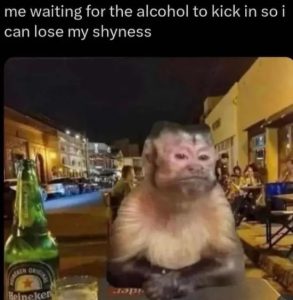 Stupid Bar Memes ESHl0OW