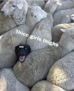Stupid Bar Memes J37yl4G