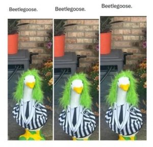 Stupid Bar Memes LJRhnYo