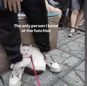 Stupid Bar Memes SdwZZg1