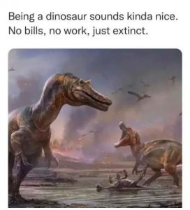 Stupid Bar Memes TOid80I