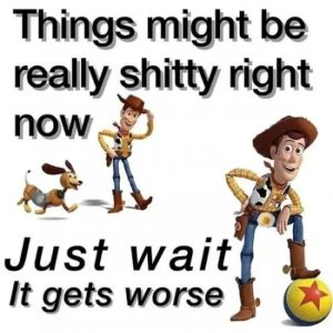 Stupid Bar Memes Wj69Zpwsd