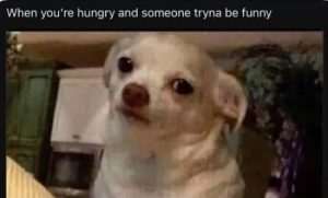 Stupid Bar Memes Xmjm7Gi